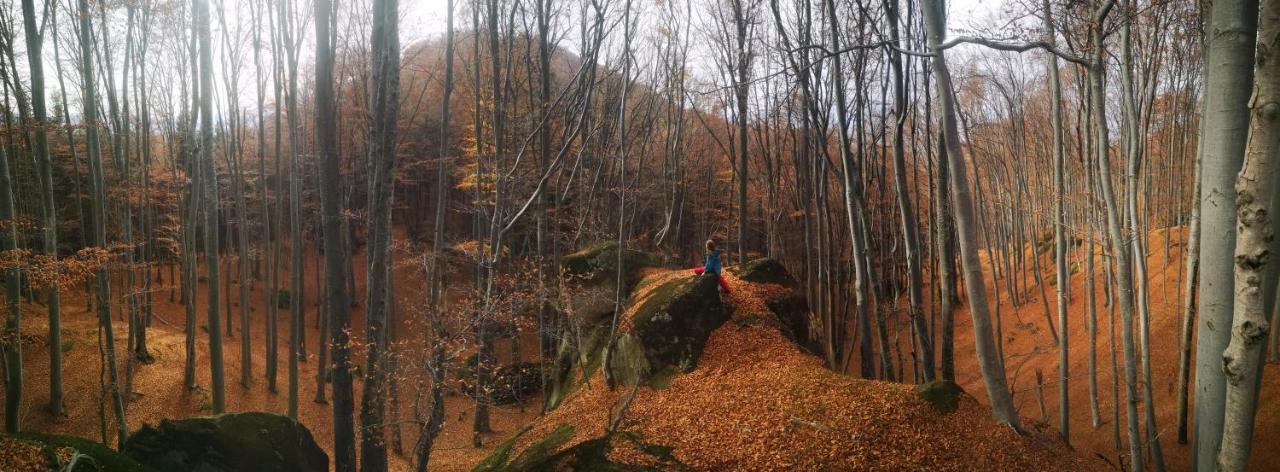 Mountain Lodge Ришнов Екстер'єр фото